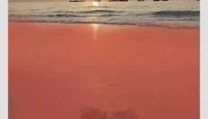 snapseed手机版 截图