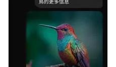 Grok安卓版 截图