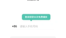 刺猬默写 截图