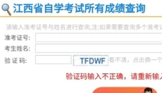 自考网 截图