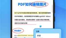 轻闪PDF 截图