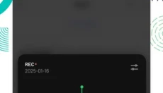 flomo笔记app 截图