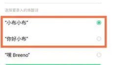 小布语音助手 截图