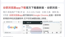 chrome浏览器手机版 截图