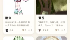 娃邻国 截图