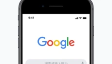 谷歌chrome浏览器 截图