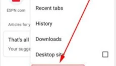 谷歌chrome浏览器 截图