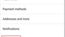 谷歌chrome浏览器 截图