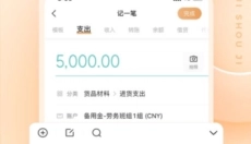 随手记Pro 截图
