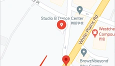 googlemaps 截图