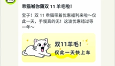 乖猫记账app 截图