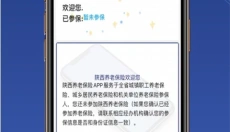 陕西社会保险 截图