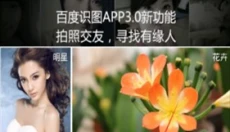 识图 截图