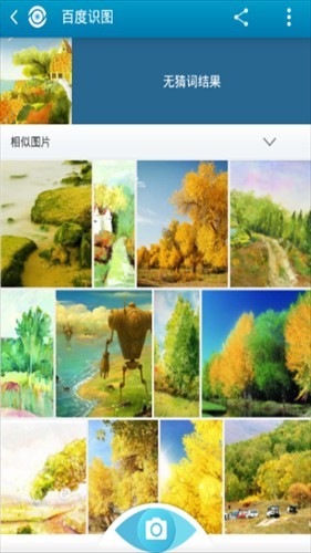 识图