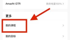 Amazfit 截图