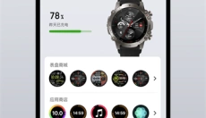 Amazfit 截图