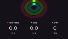 Lewear Pro 截图