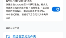 Salt Player最新版 截图