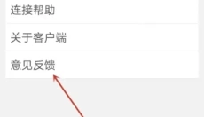 路影车载版 截图