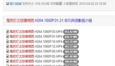 磁力柠檬软件 截图