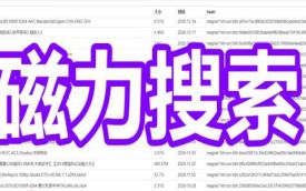 磁力搜索