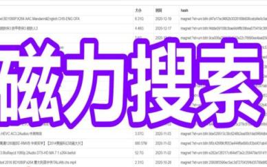 磁力搜索
