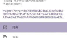 磁力猫最新版官网 截图