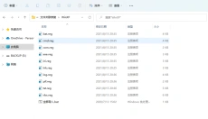 Softcnkiller 截图