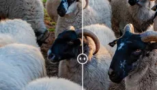 Topaz Video AI 截图