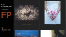 DxO FilmPack 截图