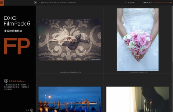 DxO FilmPack