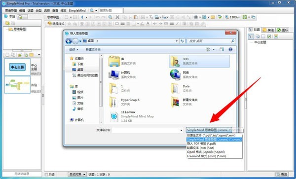 SimpleMind Pro