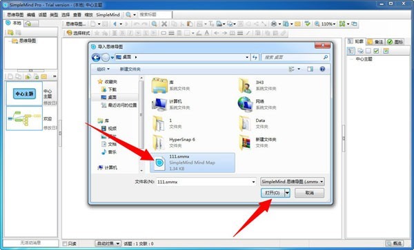SimpleMind Pro