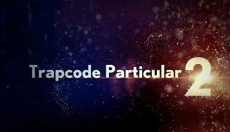 particular 截图