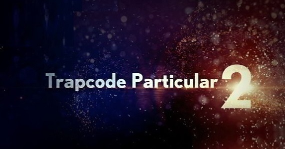particular