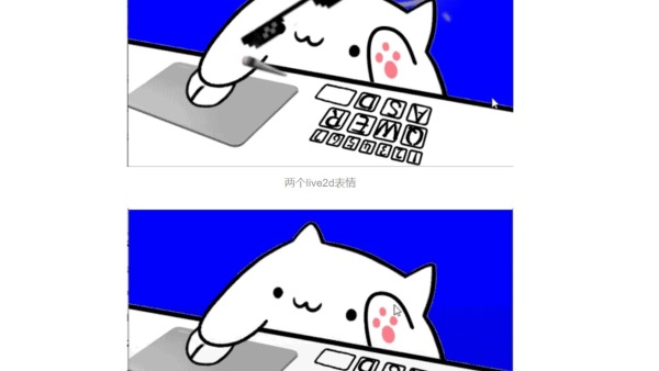 bongocat