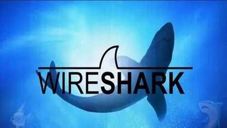 Wireshark Portable