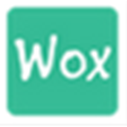 Wox Launcher