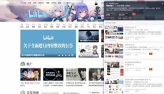 similarsites插件 截图