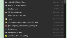 everything软件 截图