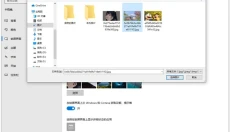 飞火动态壁纸 截图
