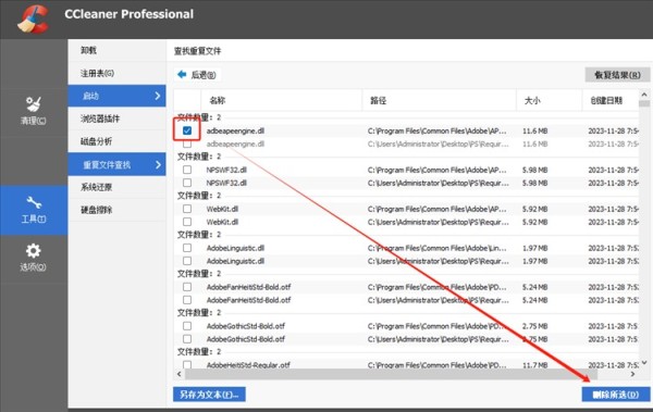 CCleaner Professional