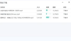 飞鸟下载器 截图