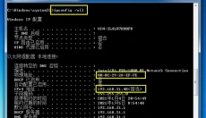 todesk lite 截图