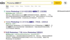 俄罗斯搜索引擎安卓版 截图