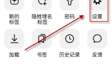 俄罗斯搜索引擎安卓版 截图