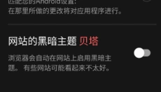 俄罗斯搜索引擎安卓版 截图
