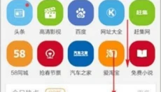 猎豹浏览器手机版 截图