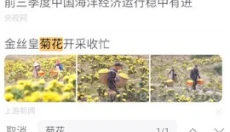 UA浏览器 截图