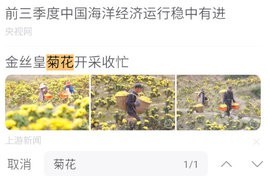 UA浏览器